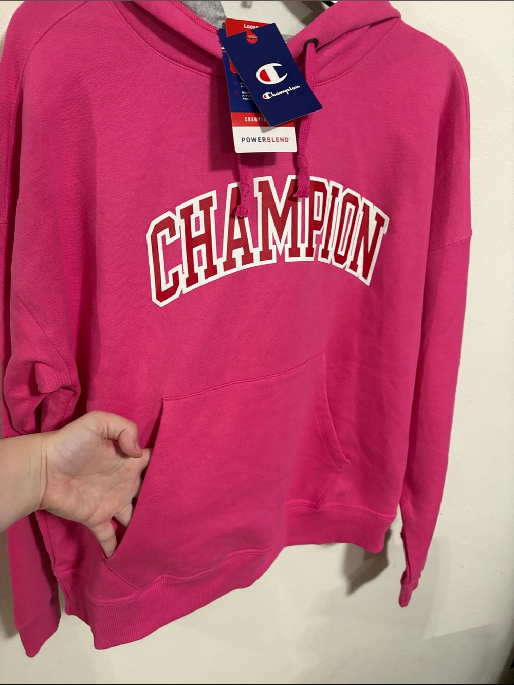 NWT Champion Pink Long Sleeve Sweatshirt Loose Fit Size L - Picture 3 of 11